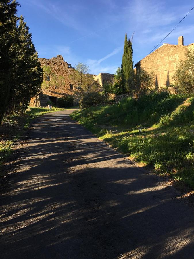 Chambres D Hotes Le Clos Des Vins D Anges Saint-Pierre-des-Champs Dış mekan fotoğraf