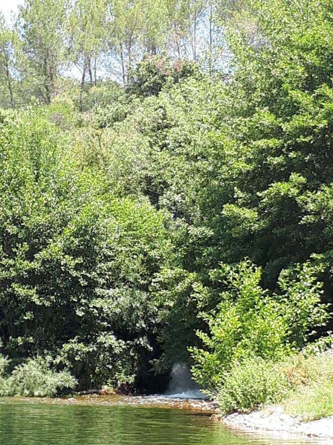 Chambres D Hotes Le Clos Des Vins D Anges Saint-Pierre-des-Champs Dış mekan fotoğraf