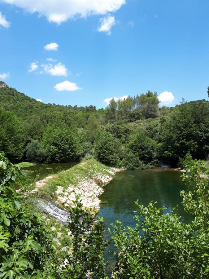 Chambres D Hotes Le Clos Des Vins D Anges Saint-Pierre-des-Champs Dış mekan fotoğraf