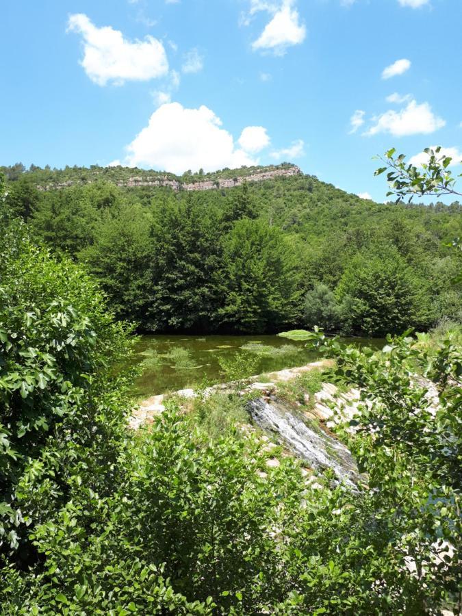 Chambres D Hotes Le Clos Des Vins D Anges Saint-Pierre-des-Champs Dış mekan fotoğraf