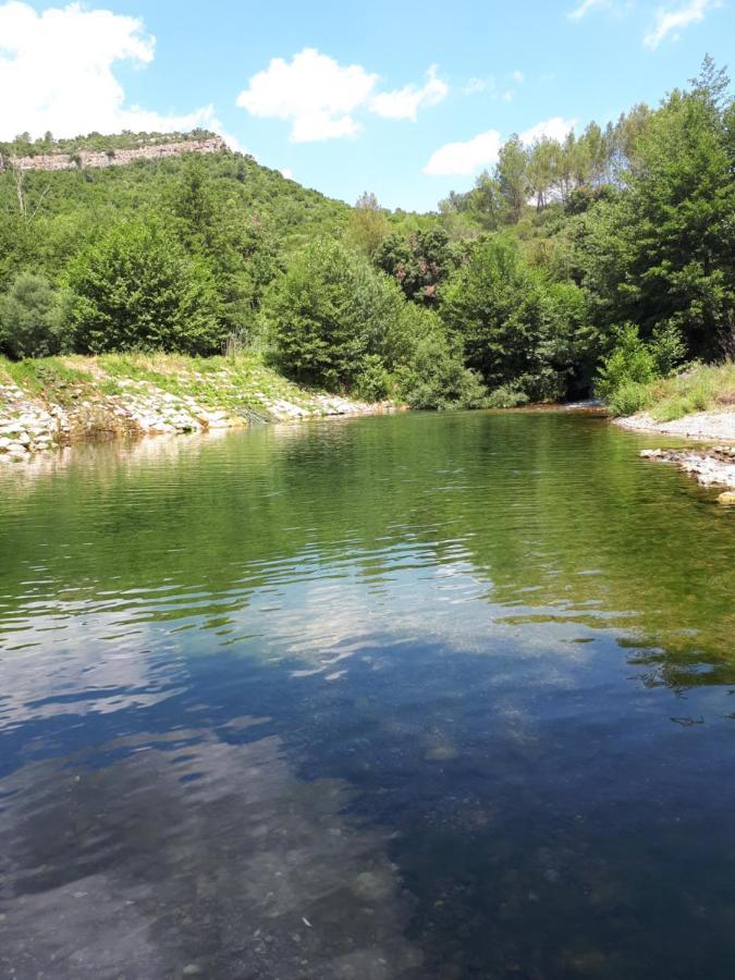 Chambres D Hotes Le Clos Des Vins D Anges Saint-Pierre-des-Champs Dış mekan fotoğraf