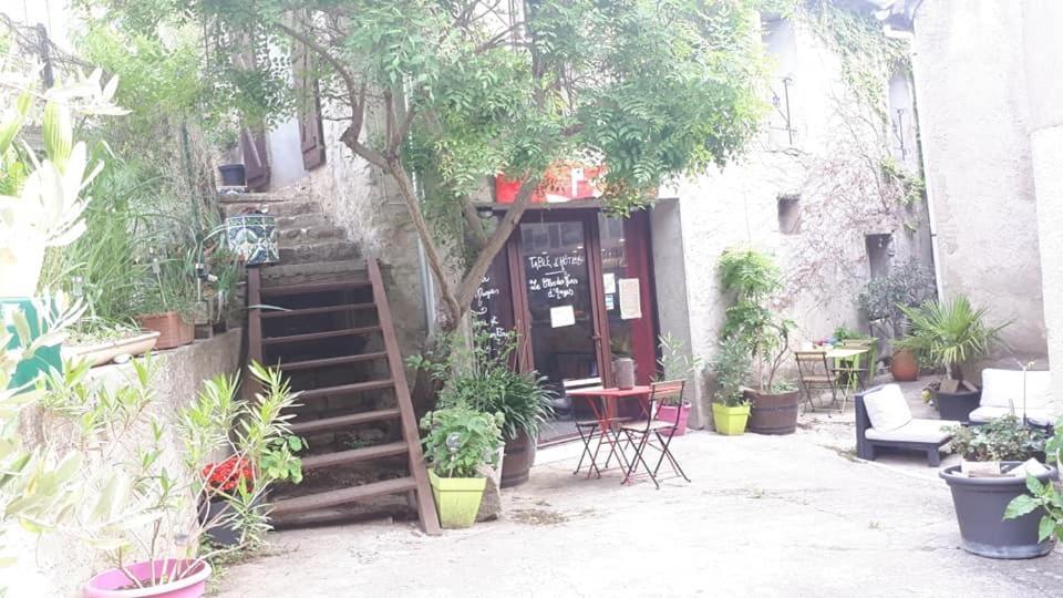 Chambres D Hotes Le Clos Des Vins D Anges Saint-Pierre-des-Champs Dış mekan fotoğraf
